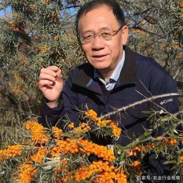 rb88随行版-rb88手机随行版登录入口