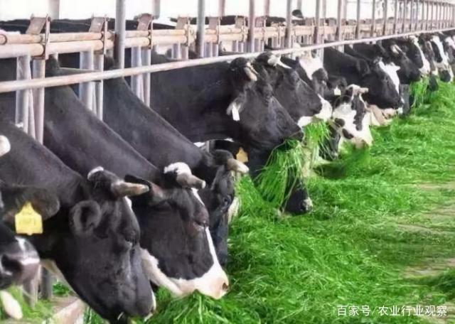 rb88随行版-rb88手机随行版登录入口