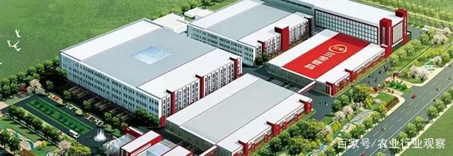 rb88随行版-rb88手机随行版登录入口