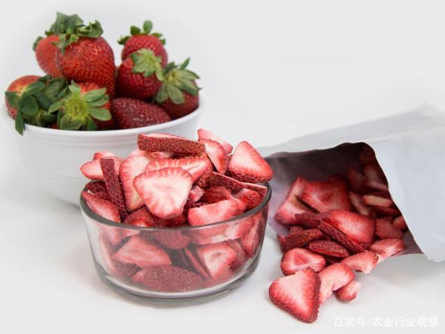 rb88随行版-rb88手机随行版登录入口