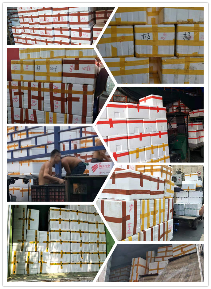 rb88随行版-rb88手机随行版登录入口