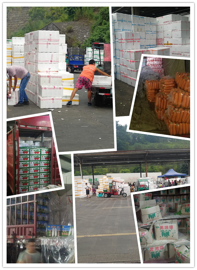 rb88随行版-rb88手机随行版登录入口