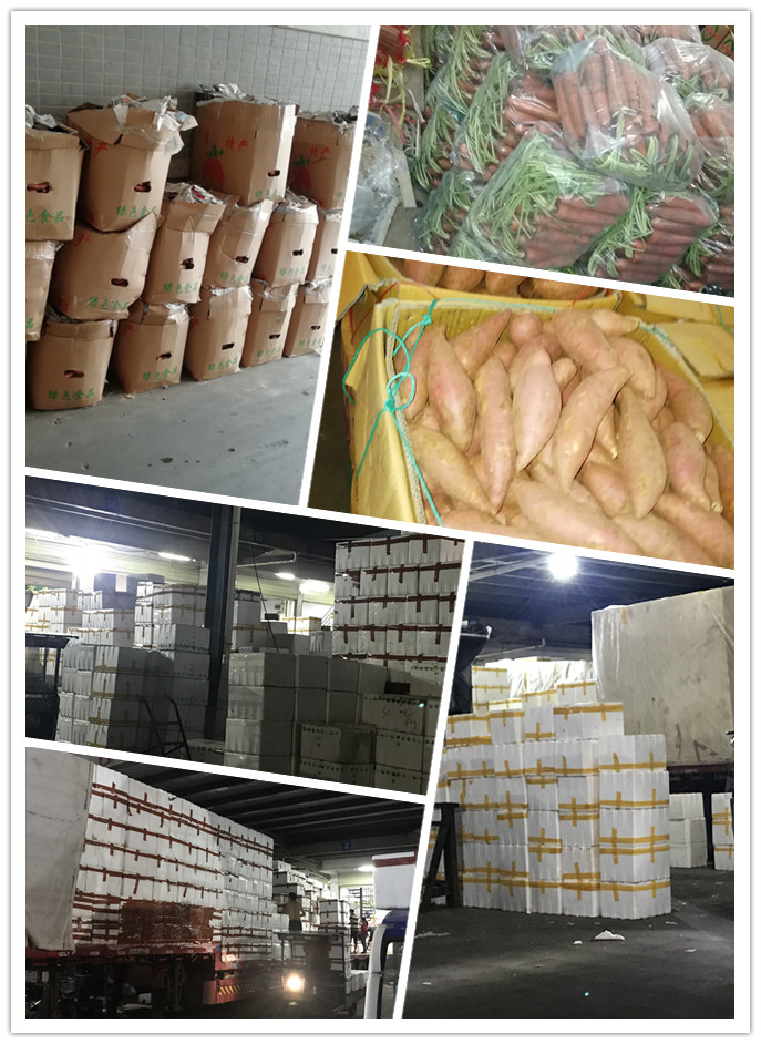 rb88随行版-rb88手机随行版登录入口