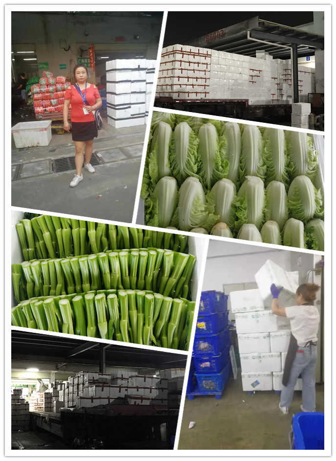 rb88随行版-rb88手机随行版登录入口