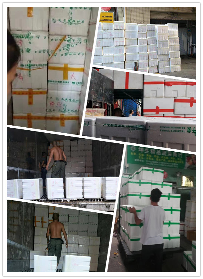 rb88随行版-rb88手机随行版登录入口