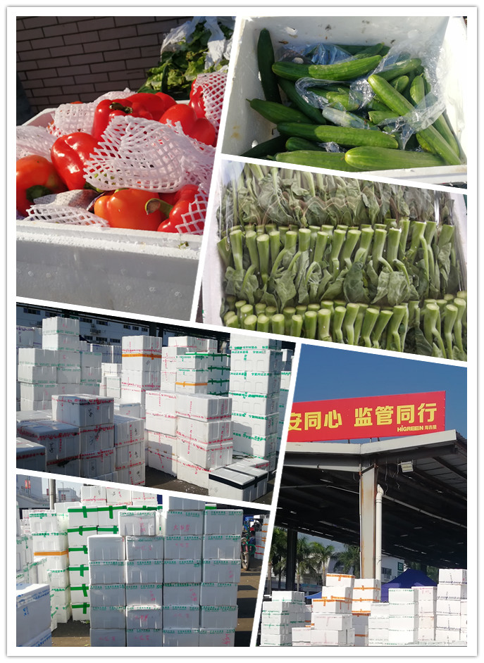 rb88随行版-rb88手机随行版登录入口