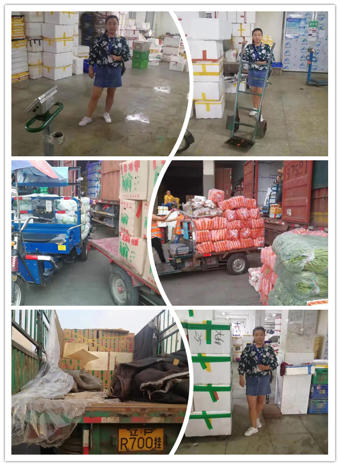 rb88随行版-rb88手机随行版登录入口