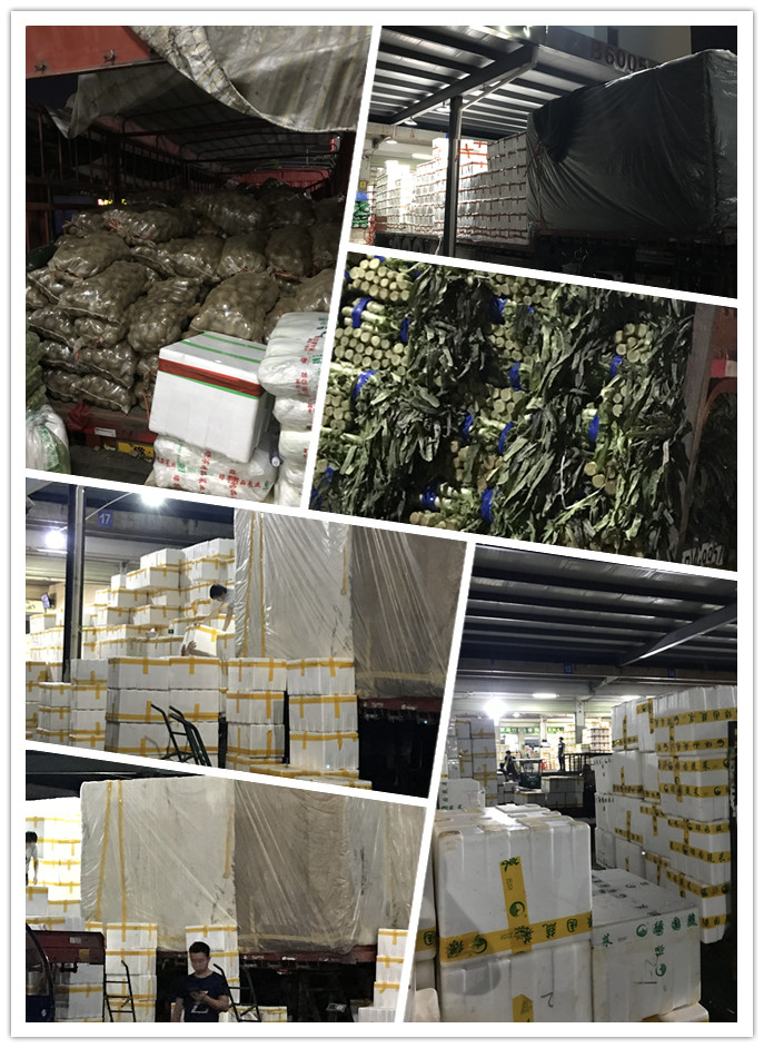 rb88随行版-rb88手机随行版登录入口