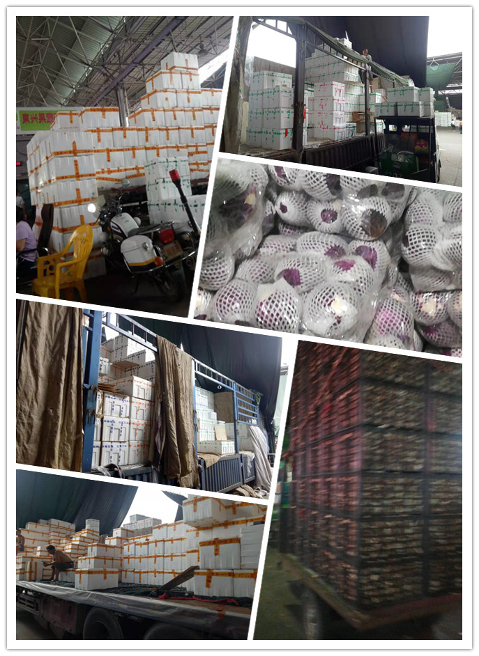 rb88随行版-rb88手机随行版登录入口