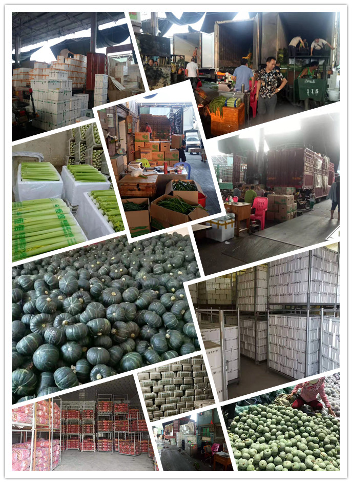 rb88随行版-rb88手机随行版登录入口