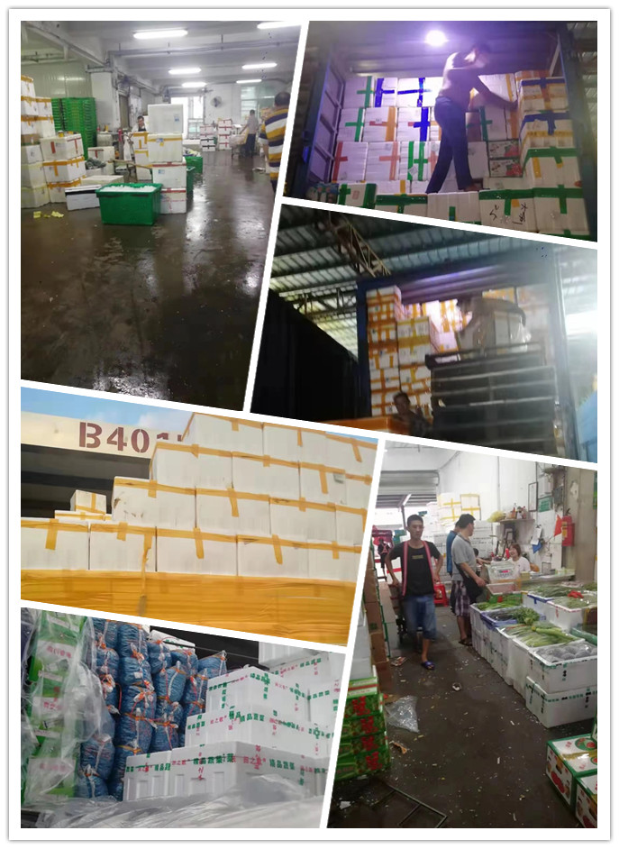 rb88随行版-rb88手机随行版登录入口