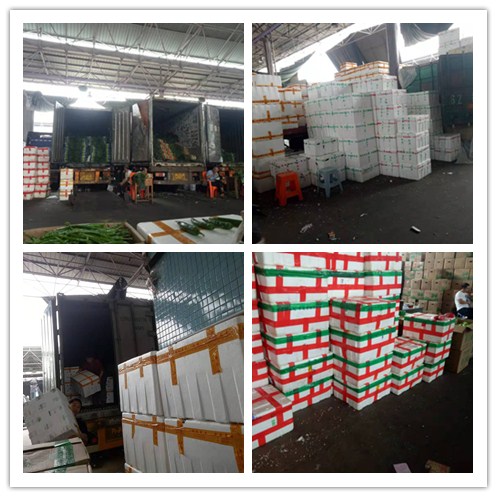 rb88随行版-rb88手机随行版登录入口