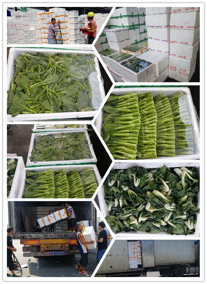 rb88随行版-rb88手机随行版登录入口