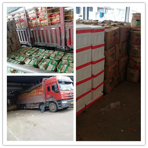 rb88随行版-rb88手机随行版登录入口