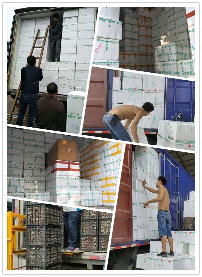 rb88随行版-rb88手机随行版登录入口