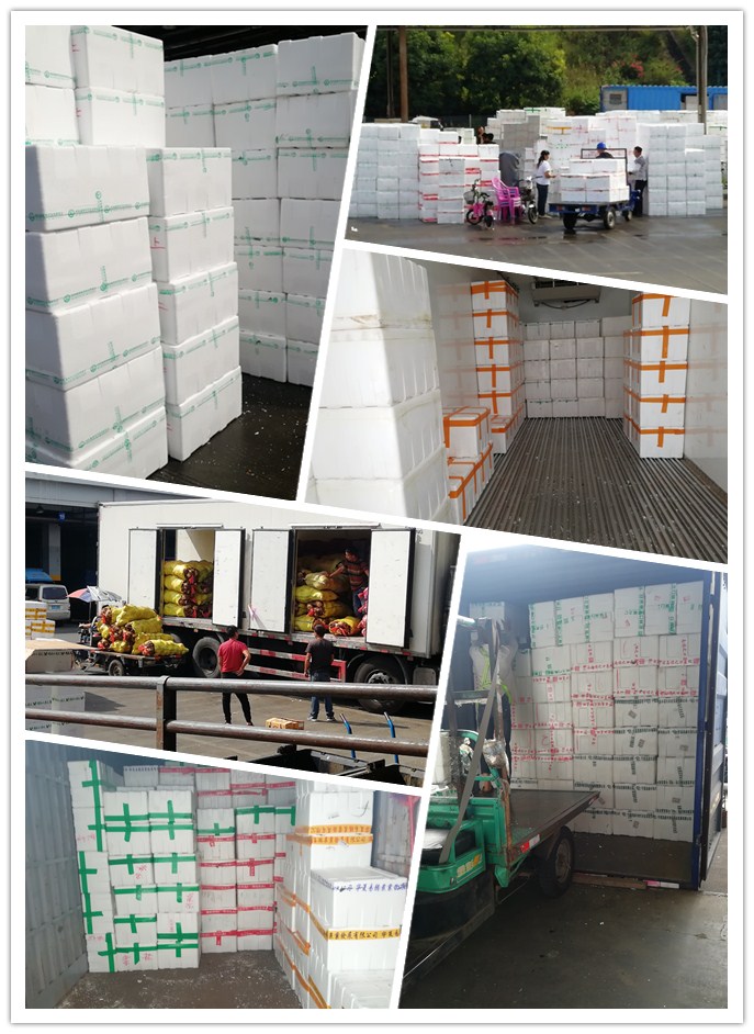 rb88随行版-rb88手机随行版登录入口