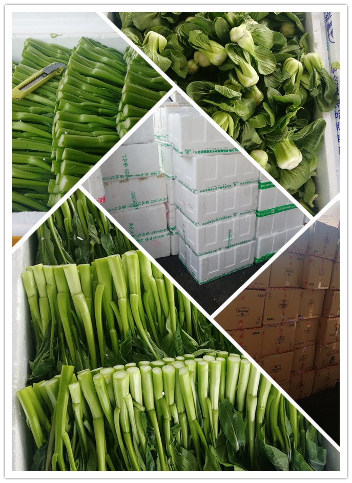 rb88随行版-rb88手机随行版登录入口