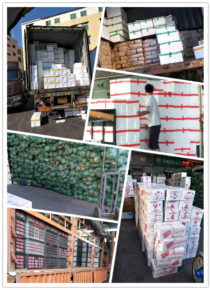 rb88随行版-rb88手机随行版登录入口