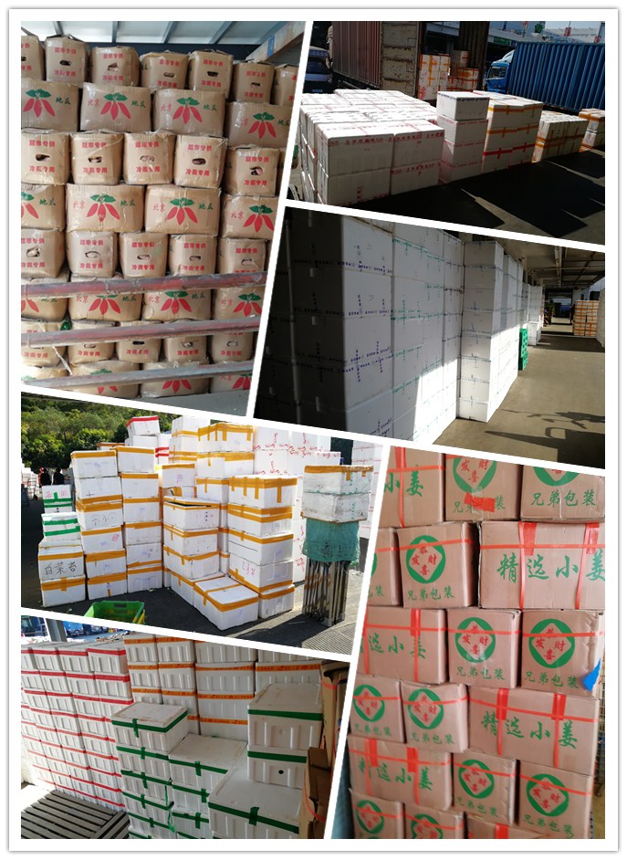 rb88随行版-rb88手机随行版登录入口