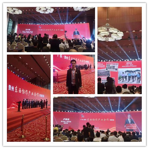 rb88随行版-rb88手机随行版登录入口