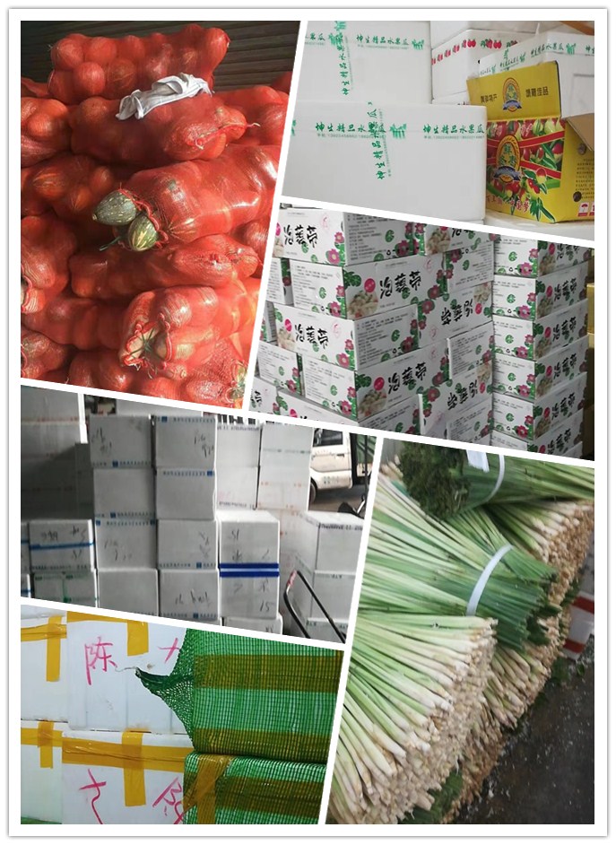 rb88随行版-rb88手机随行版登录入口