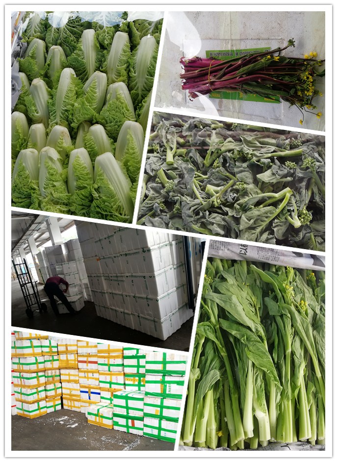 rb88随行版-rb88手机随行版登录入口