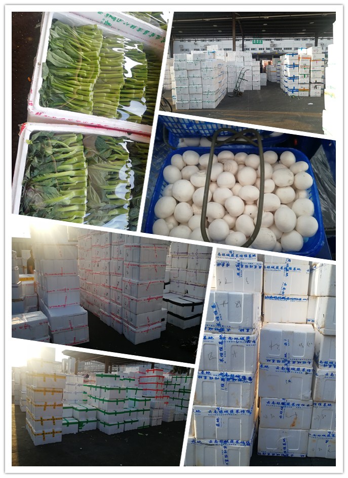 rb88随行版-rb88手机随行版登录入口