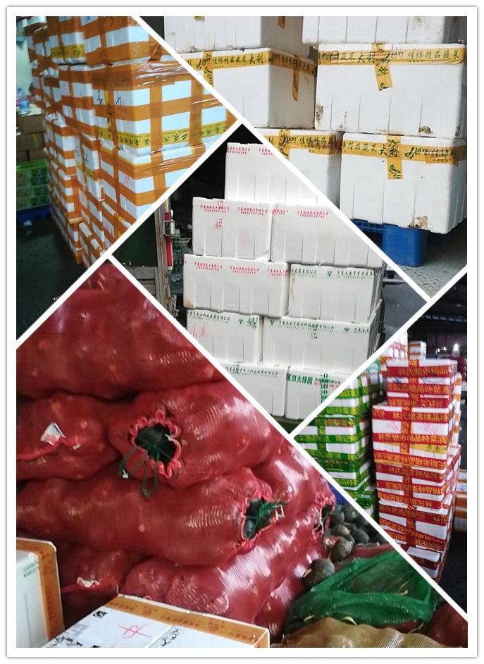 rb88随行版-rb88手机随行版登录入口