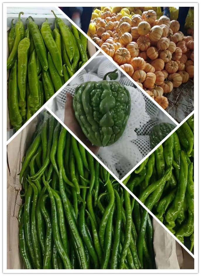 rb88随行版-rb88手机随行版登录入口