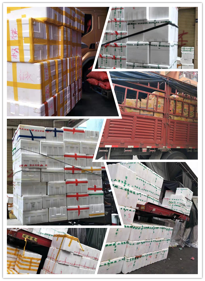 rb88随行版-rb88手机随行版登录入口