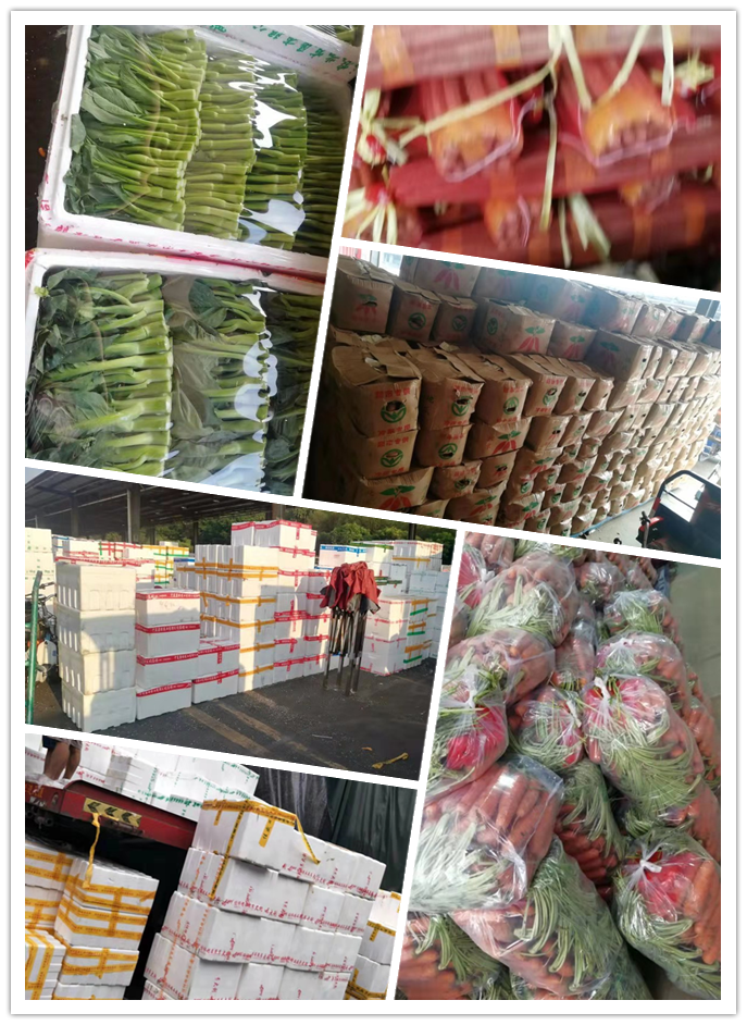 rb88随行版-rb88手机随行版登录入口