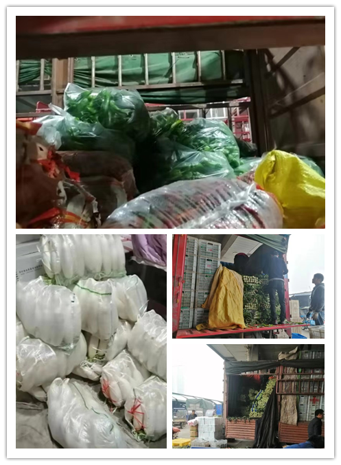 rb88随行版-rb88手机随行版登录入口