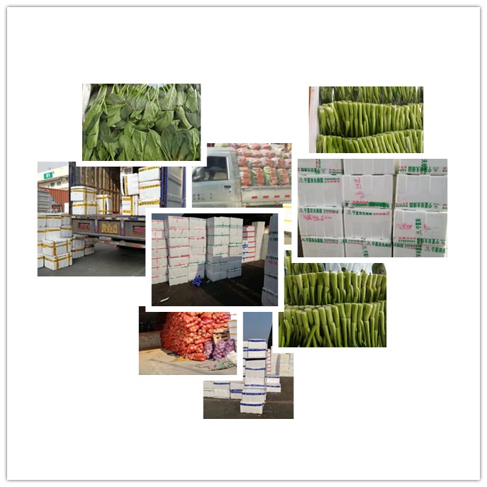 rb88随行版-rb88手机随行版登录入口