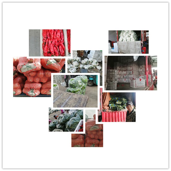 rb88随行版-rb88手机随行版登录入口