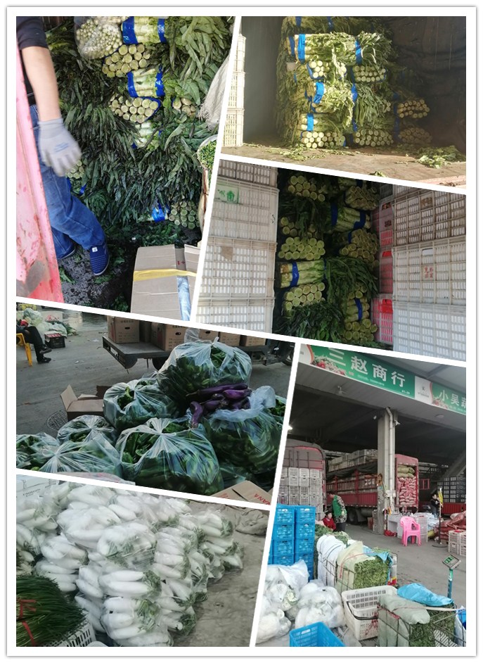 rb88随行版-rb88手机随行版登录入口