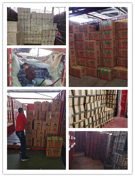 rb88随行版-rb88手机随行版登录入口