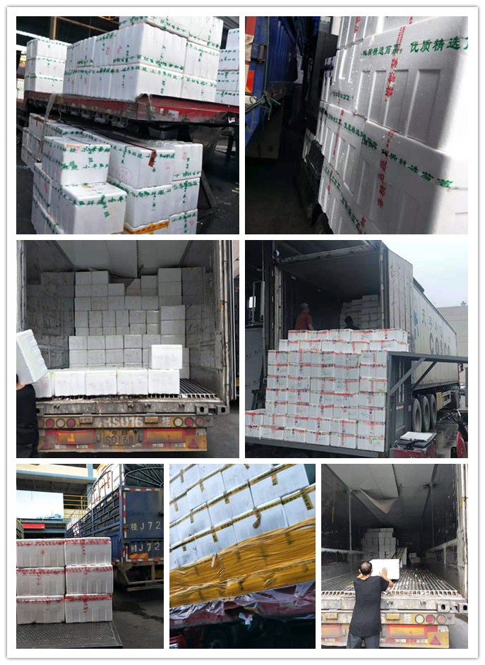 rb88随行版-rb88手机随行版登录入口