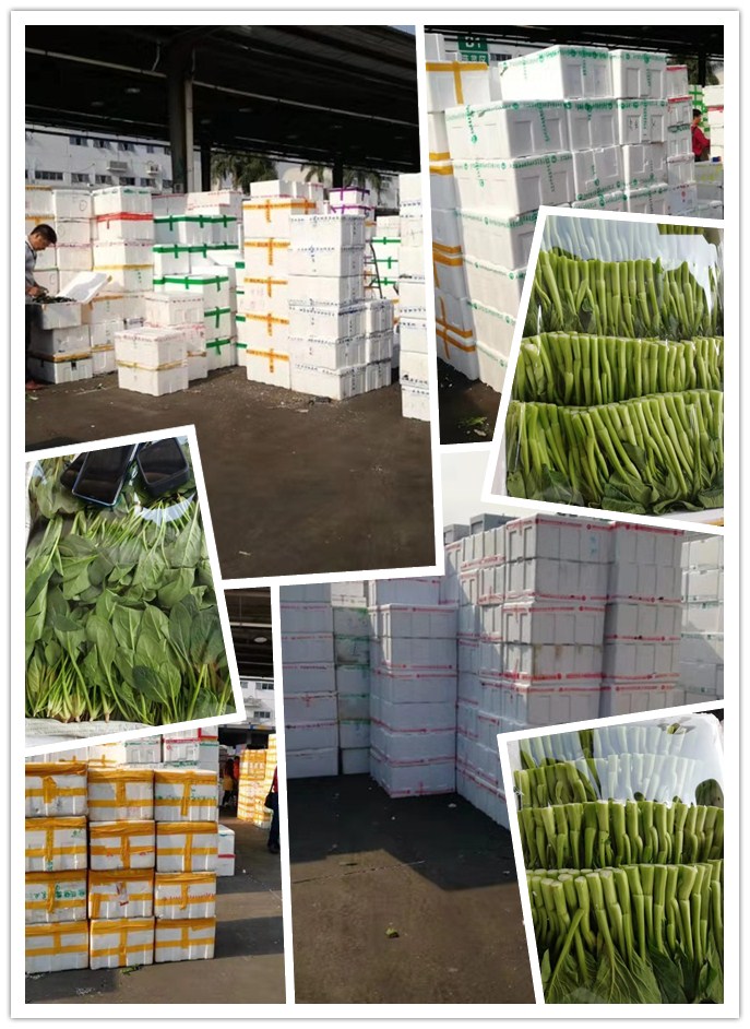 rb88随行版-rb88手机随行版登录入口