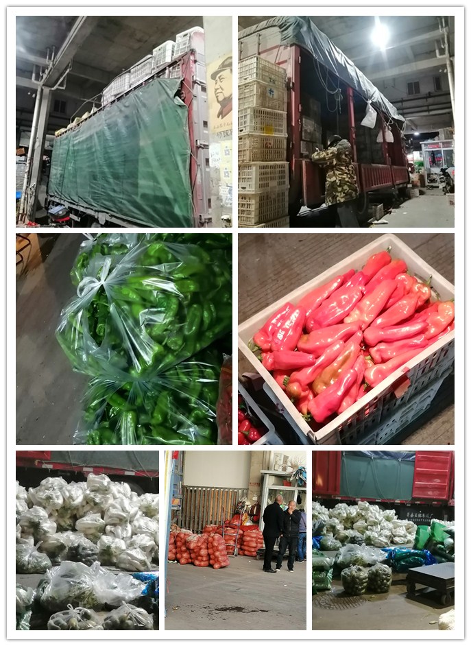 rb88随行版-rb88手机随行版登录入口