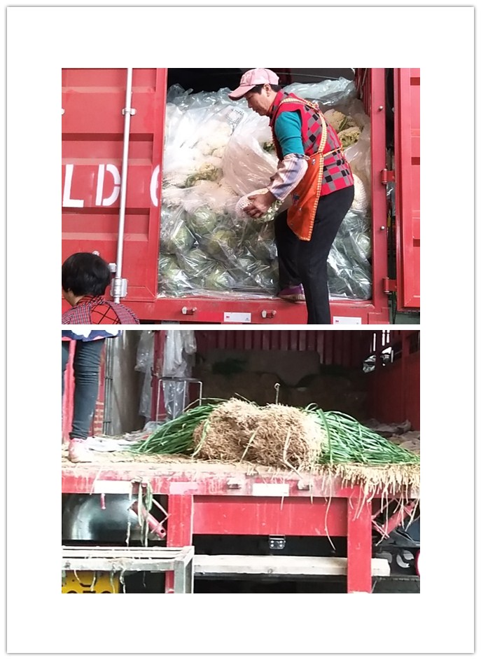 rb88随行版-rb88手机随行版登录入口