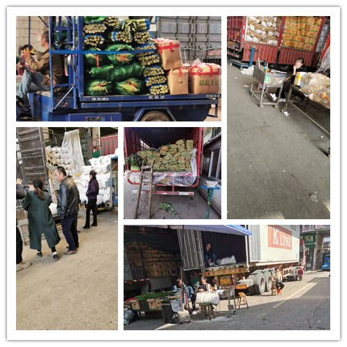 rb88随行版-rb88手机随行版登录入口