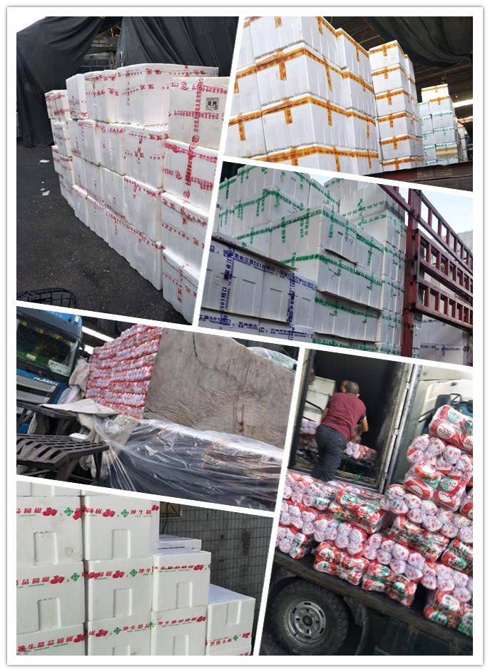 rb88随行版-rb88手机随行版登录入口