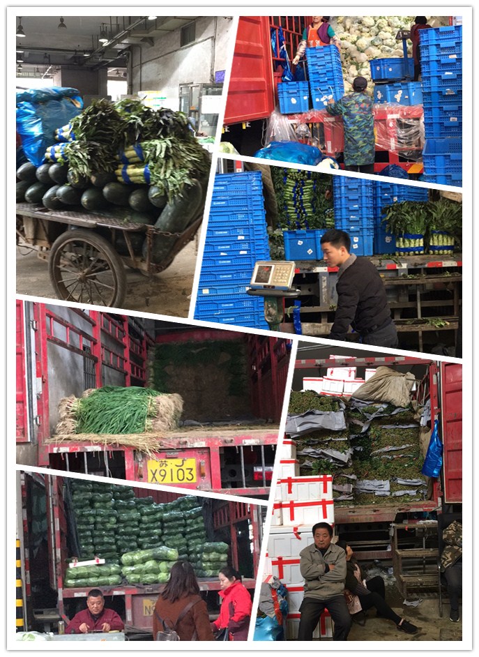 rb88随行版-rb88手机随行版登录入口