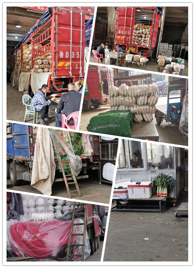 rb88随行版-rb88手机随行版登录入口