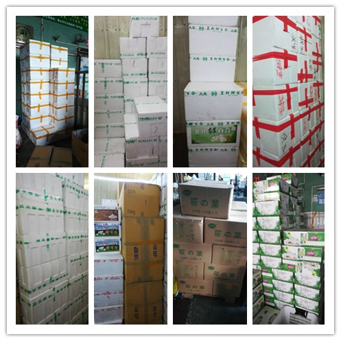 rb88随行版-rb88手机随行版登录入口