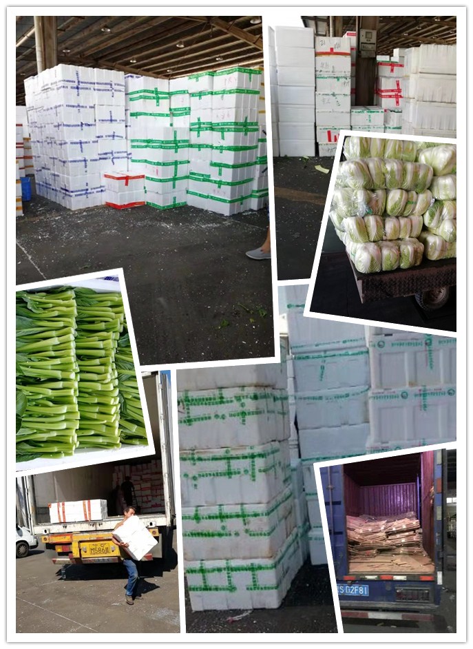 rb88随行版-rb88手机随行版登录入口