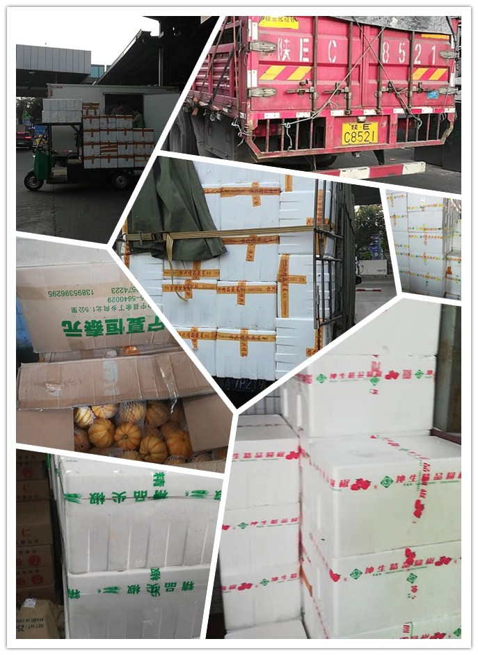 rb88随行版-rb88手机随行版登录入口