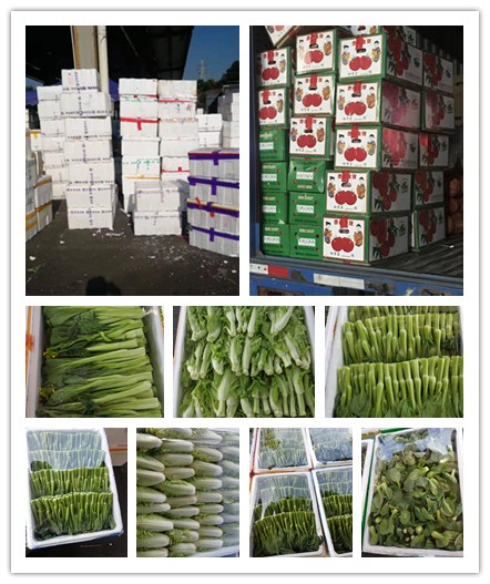 rb88随行版-rb88手机随行版登录入口