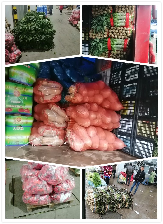 rb88随行版-rb88手机随行版登录入口