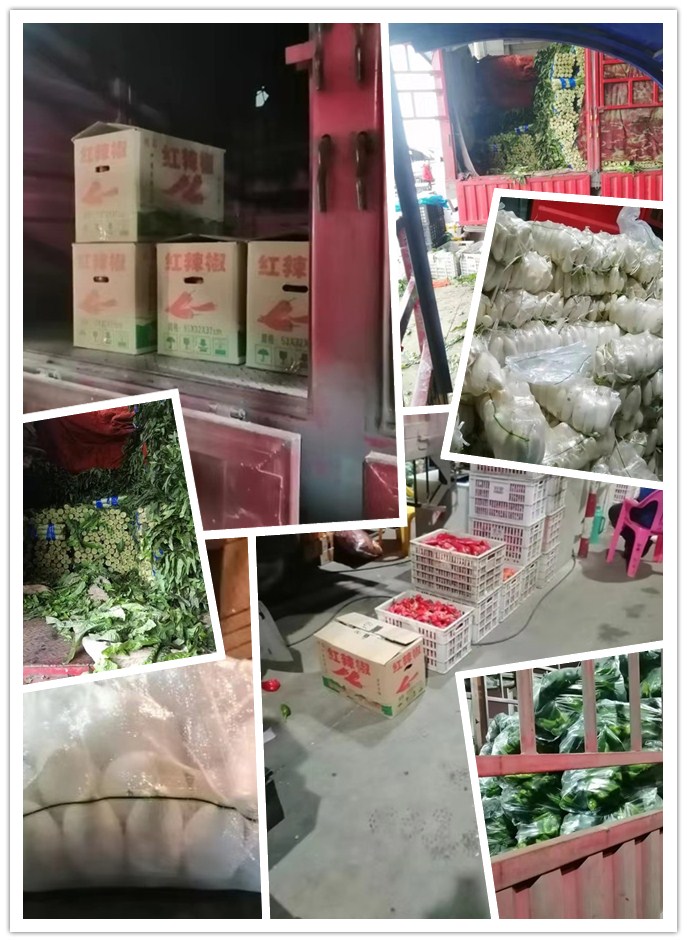 rb88随行版-rb88手机随行版登录入口